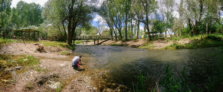 Nature waterway reserve path Photo