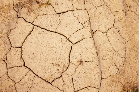 Soil earth sand cracks Photo