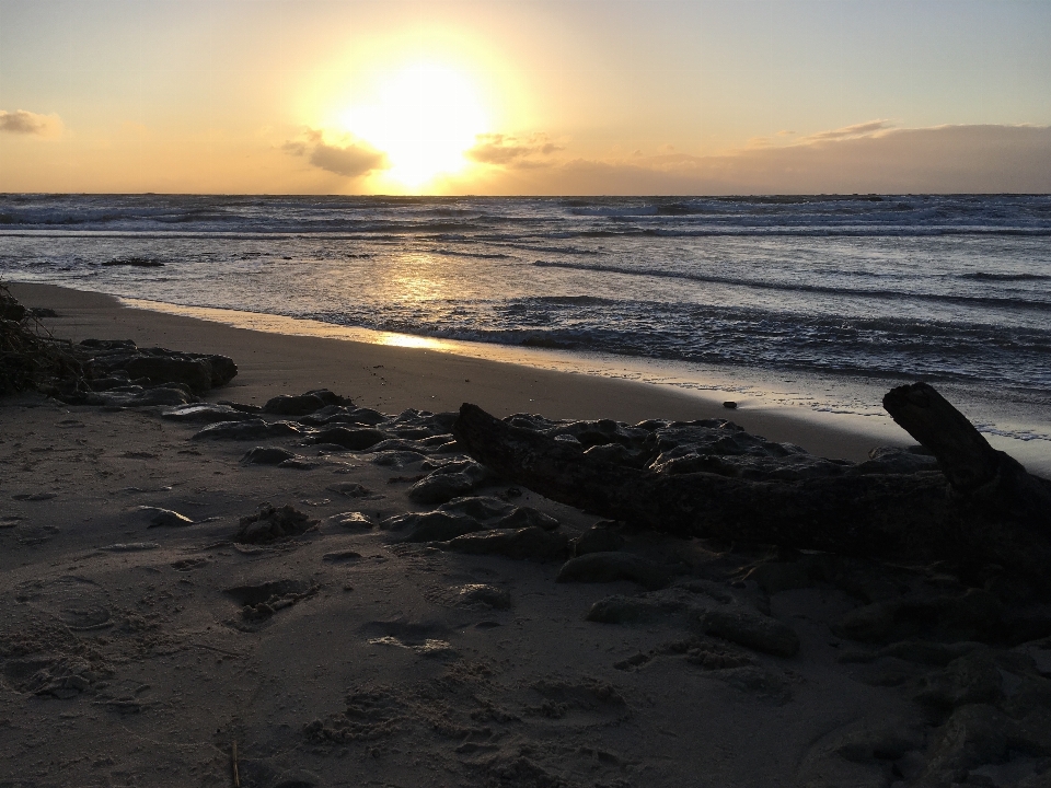 Beach sea body of water shore