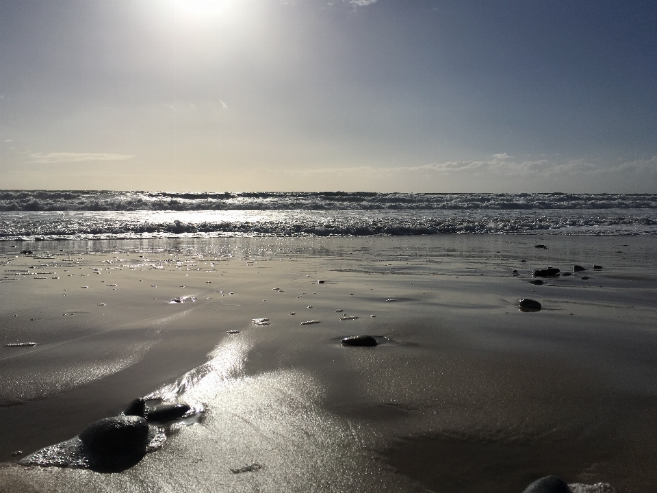 Beach sea shore body of water