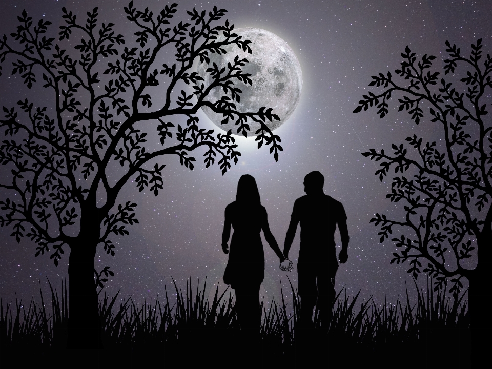 Love romantic night together