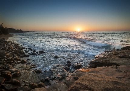 Beach california la jolla seal watch Photo