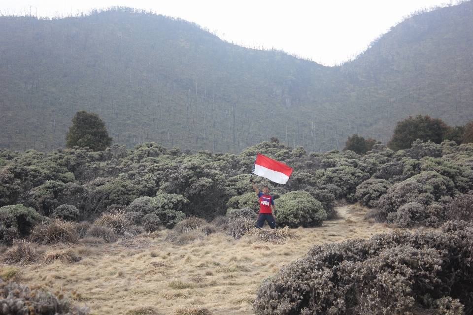 Paisaje ecosistema
 fenómeno geológico
 estación de la colina
