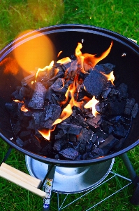 Grill barbecue fire charcoal Photo