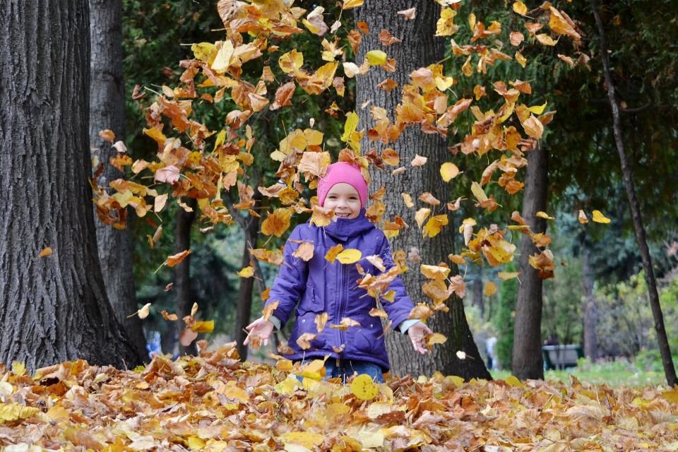 Autumn leaves child russia