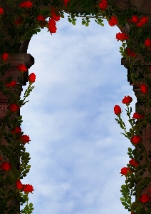 Fantasy doorway roses avenue Photo