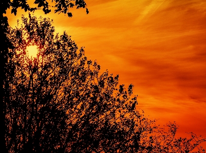 Sunrise silhouette back light clouds Photo