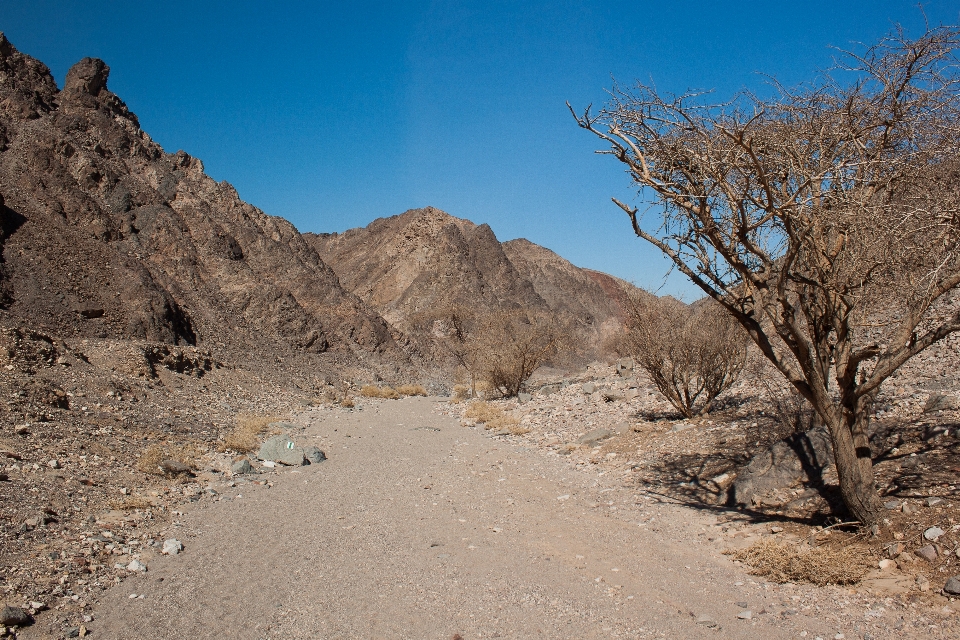 Israel eilat rocks trail