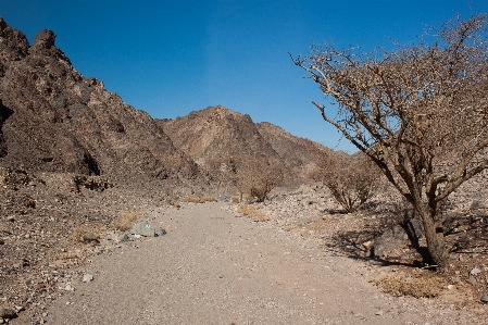 Israel eilat rocks trail Photo