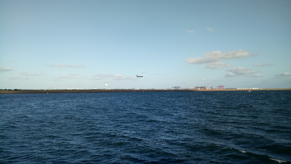 シドニー空港
 ニュージーランド航空
 海 地平線