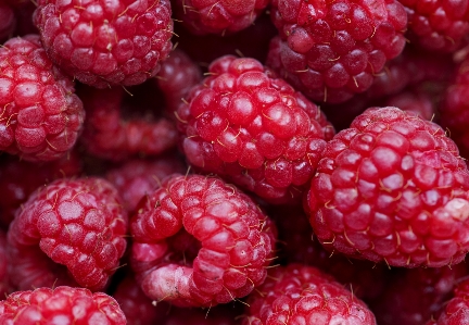 Background berry closeup delicious Photo