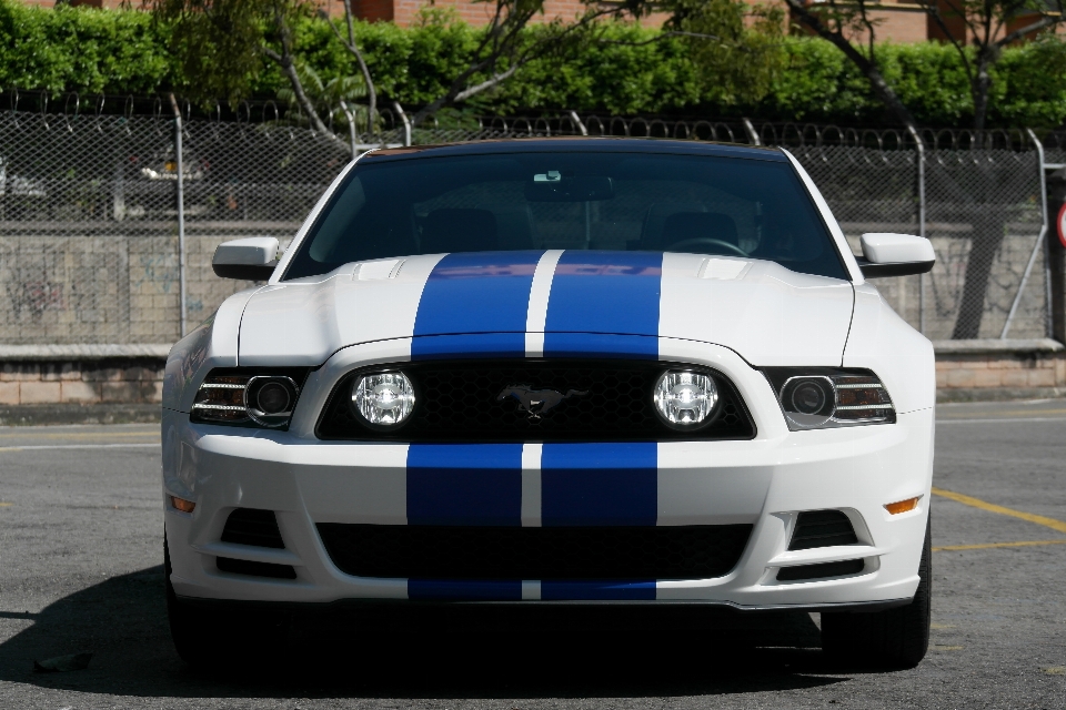 Ford mustang race supercar