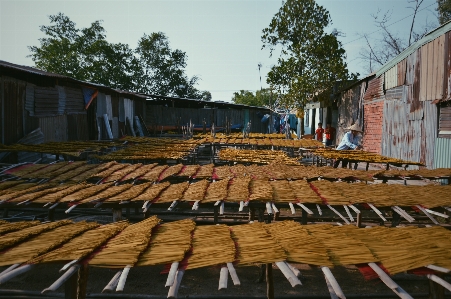 Foto Aldea país vietnam tradicional