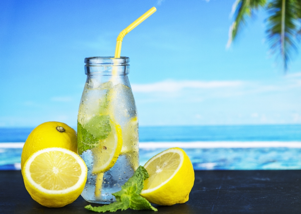 Antioksidan
 pantai minuman merapatkan
