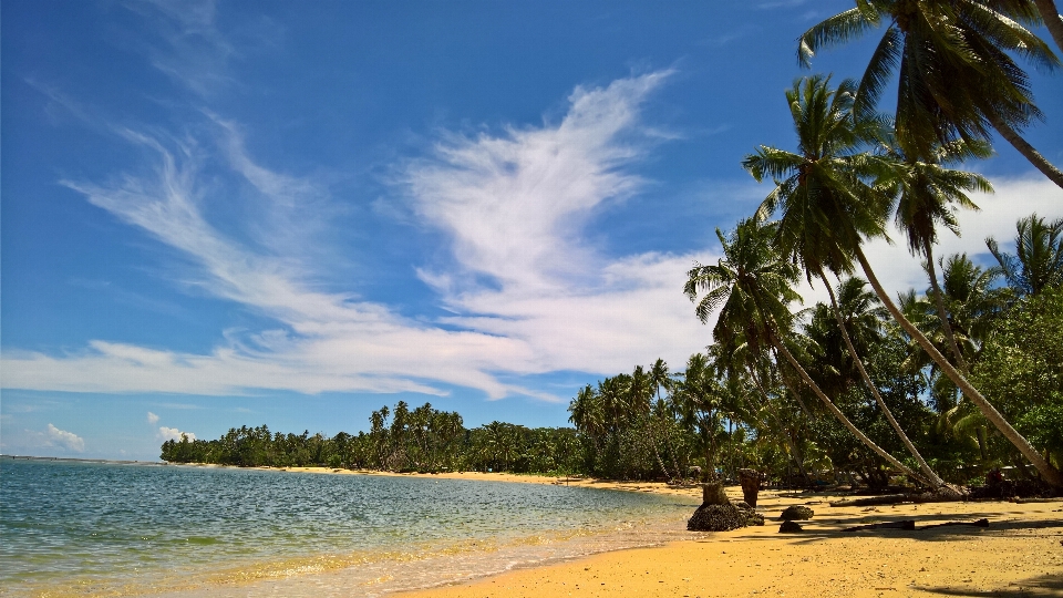 Cloud sky sea coconut