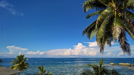 Cloud sky sea coconut Photo