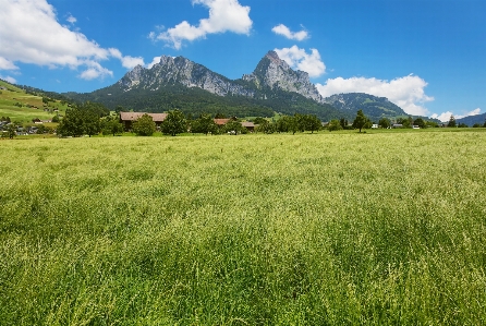 Summer summertime view outdoor Photo