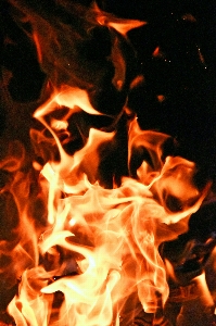 Fire burning campfire orange Photo