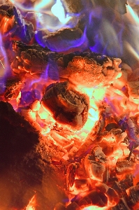 Fire burning campfire orange Photo