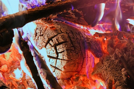 Fire burning campfire orange Photo