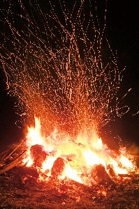 Fire burning campfire orange Photo