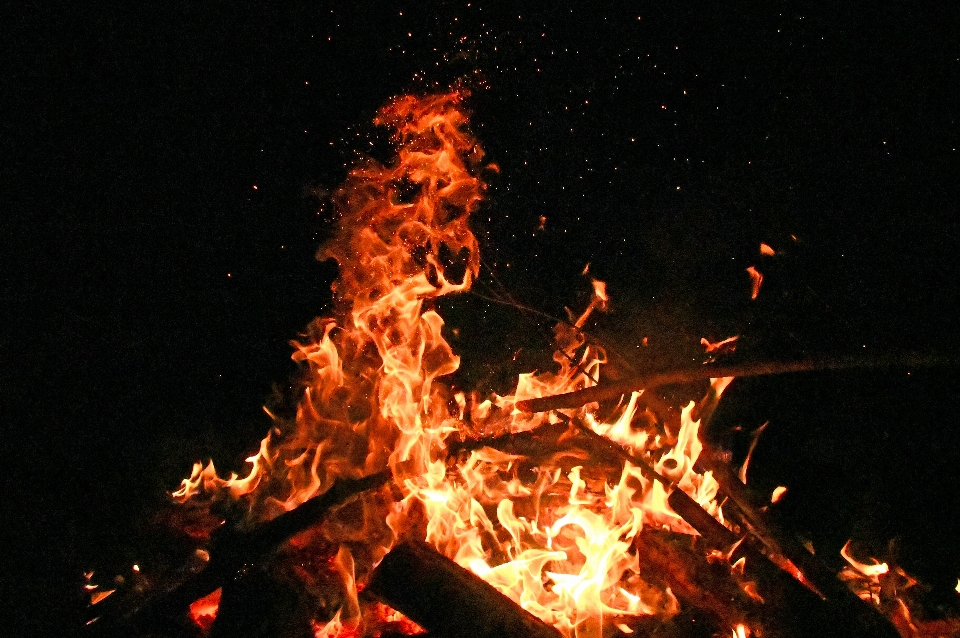 Fire burning campfire orange