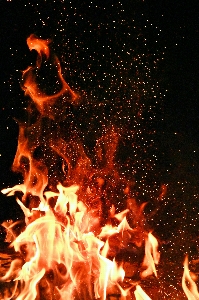 Fire burning campfire orange Photo