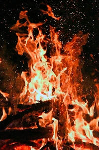 Fire burning campfire orange Photo