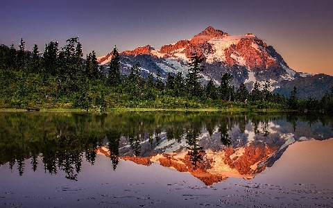 Foto árvore reflexão natureza região selvagem
