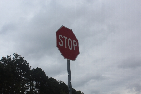 Cloudy sky tree line stop sign Photo