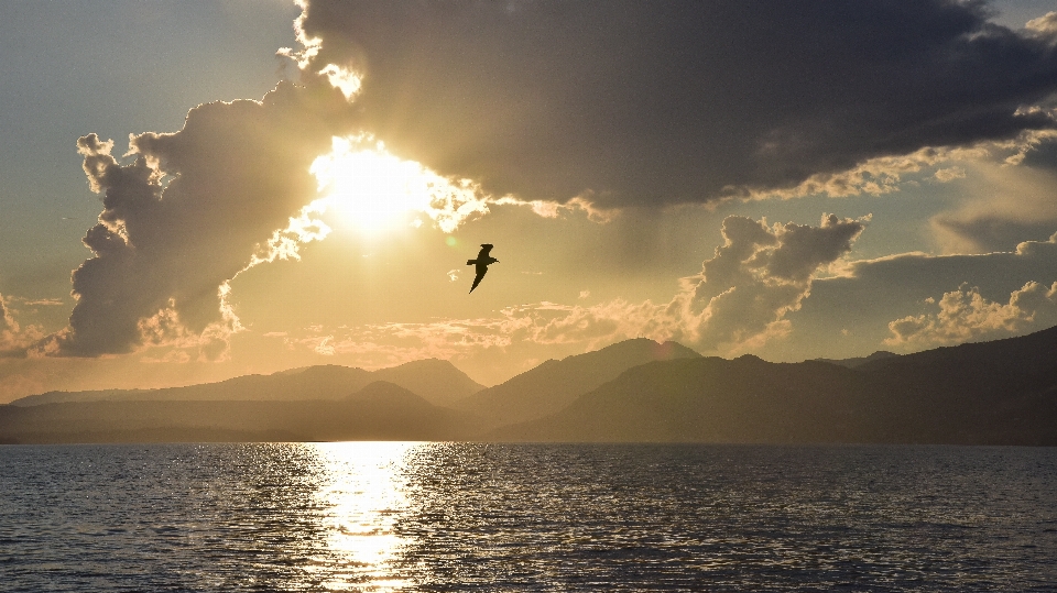 看 天空 海 地平线