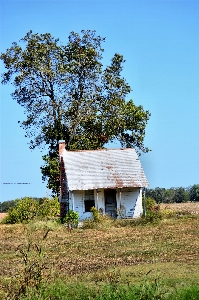 Foto Casa albero erba cielo