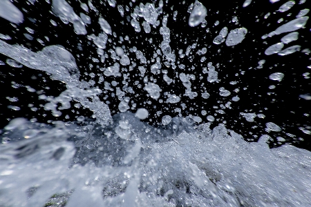 Foto Acqua albero congelamento bianco e nero
