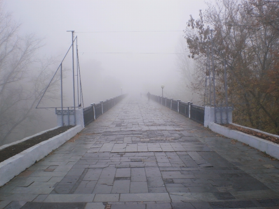 Névoa ponte outono passarela