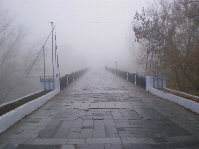 Photo Brouillard pont automne brume