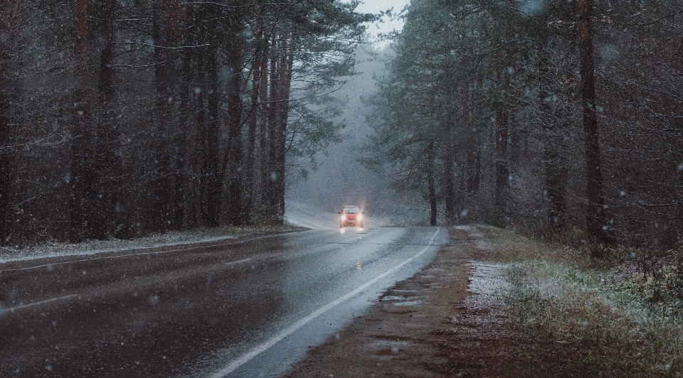 Schnee wald herbst straße