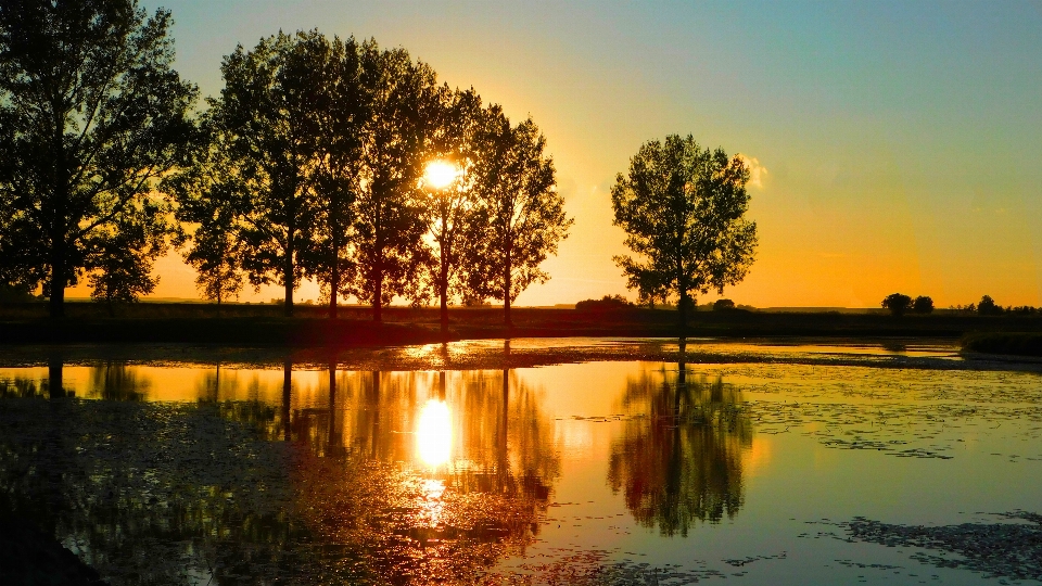 Sunset wood lake reflection