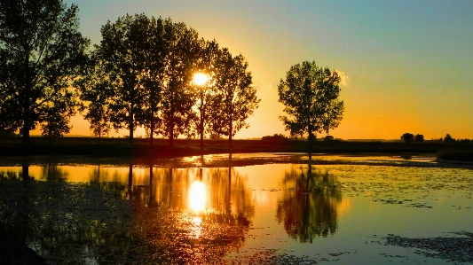 Sunset wood lake reflection Photo