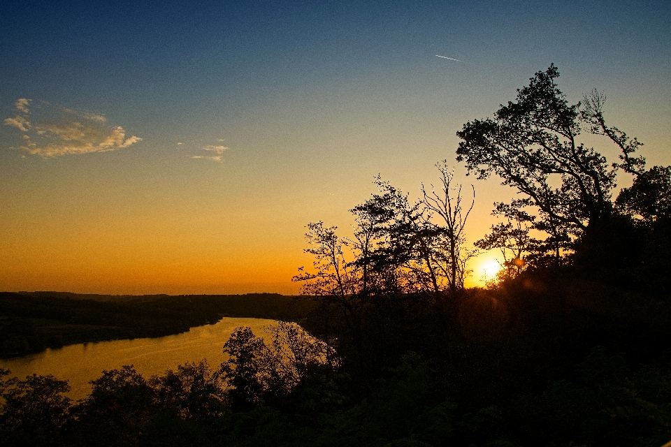 Tree sky nature horizon