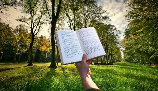 Book hand reading read Photo