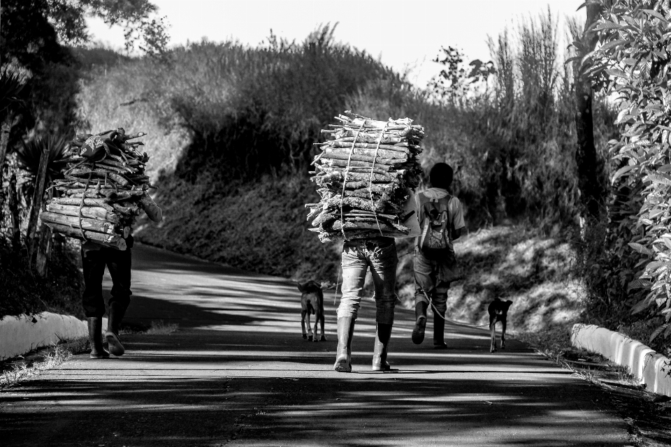 Obrero leña campo gente