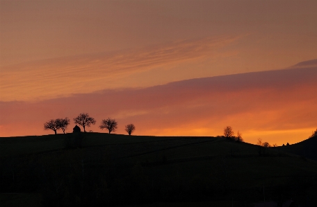 Sunset dawn nature trees Photo