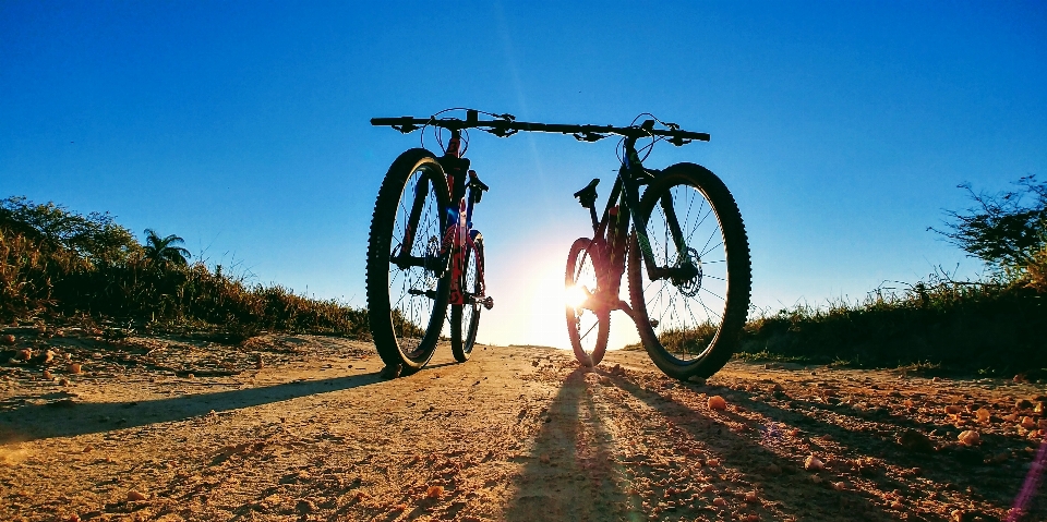 Vélo véhicule terrestre
 de route
 montagne