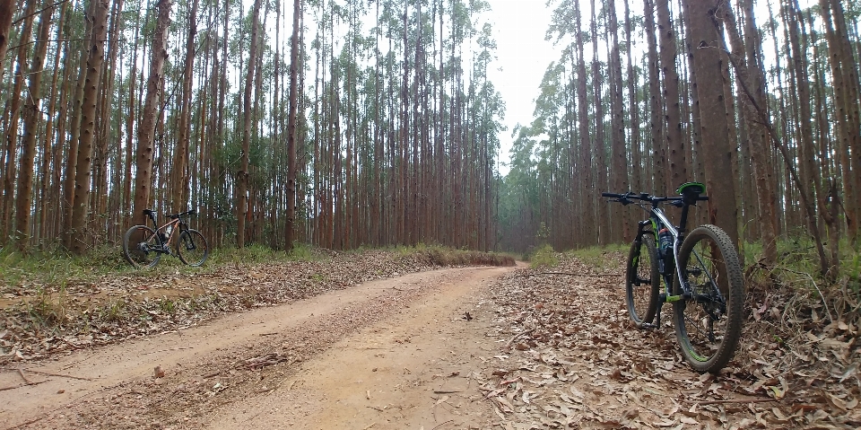 Bicicletta veicolo terrestre
 sentiero mountain bike