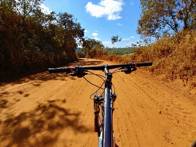 Bike land vehicle road bicycle Photo