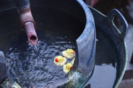 Japan travel explore water Photo