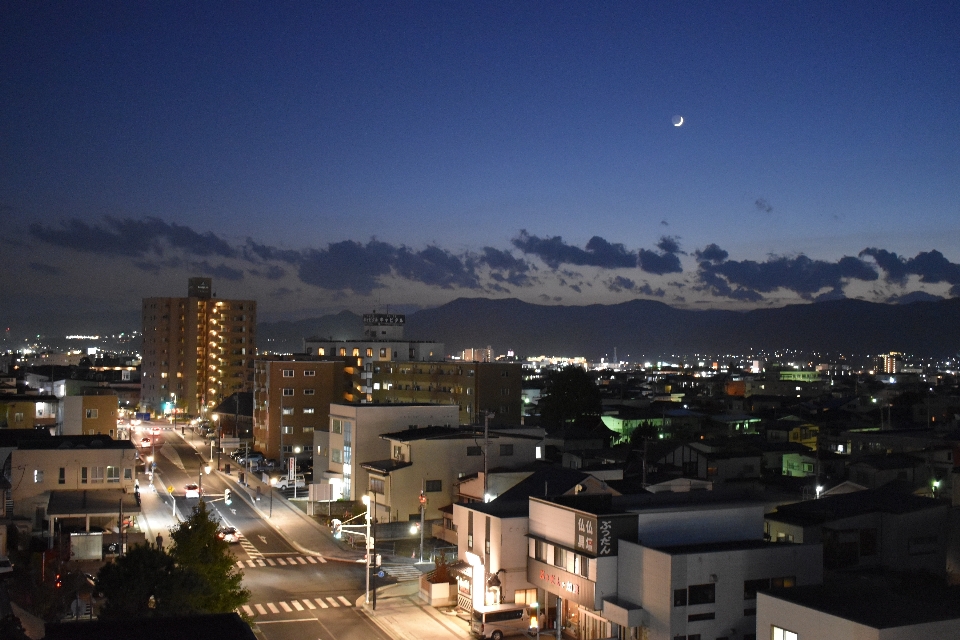 Japan reisen erkunden baum