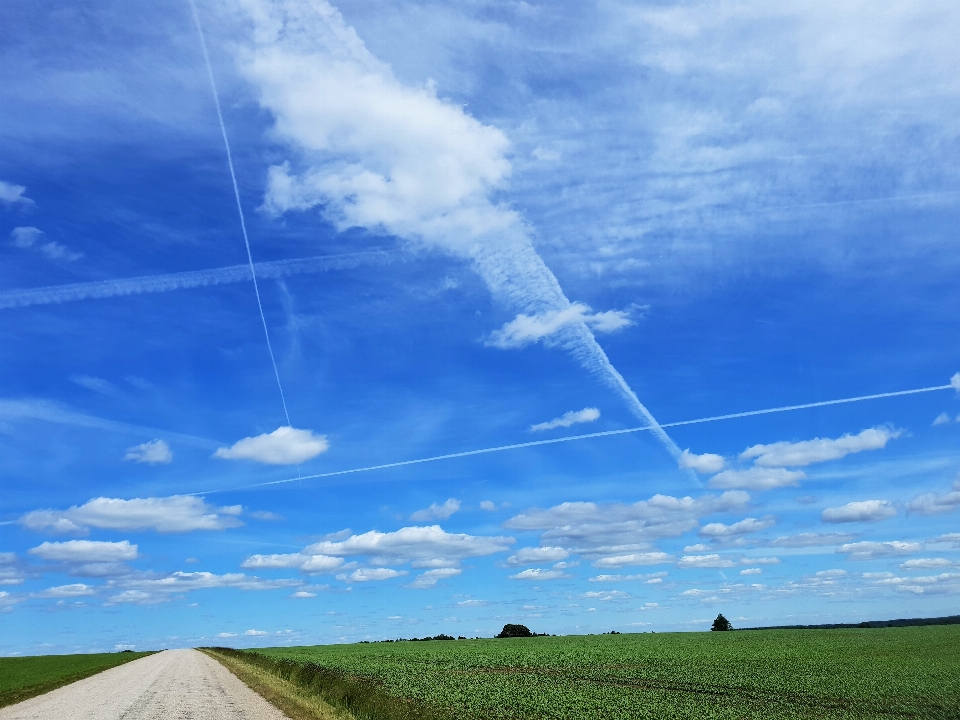 Himmel feld wiese
 wolke