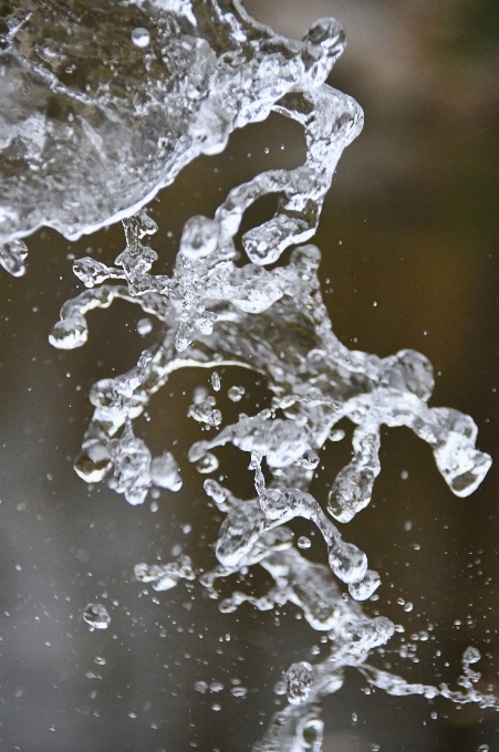 Water splash black background