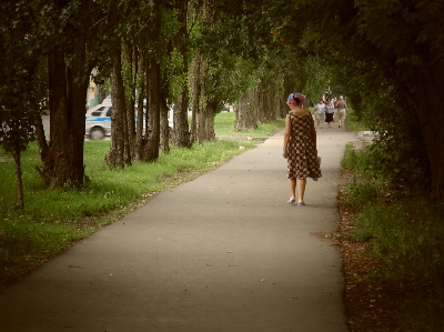 Road asphalt trees people Photo